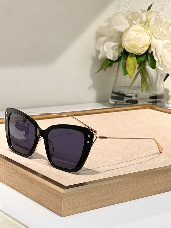 DIOR Sunglasses 10